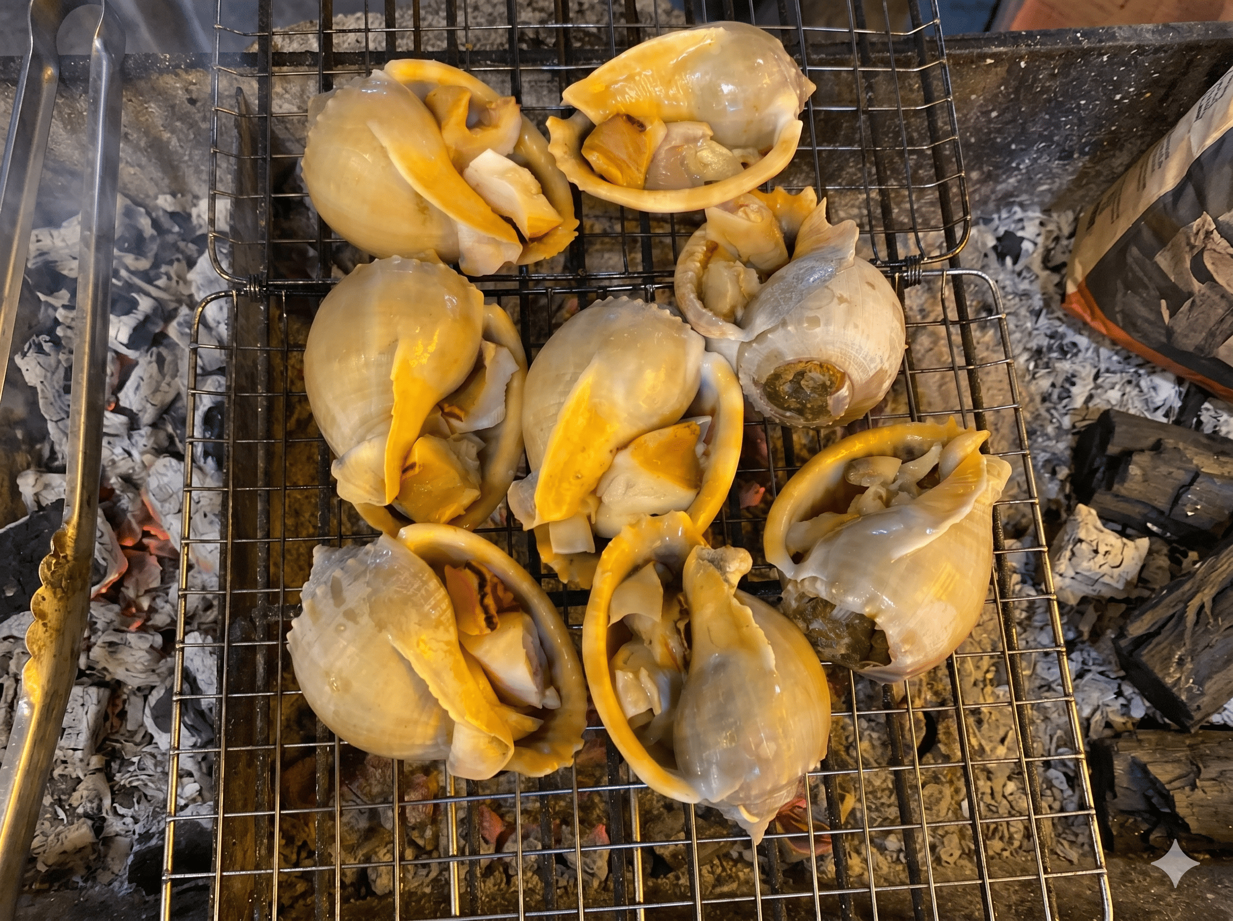 Ốc Hoa Kiều